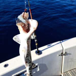 20230316_090234 - Kopie