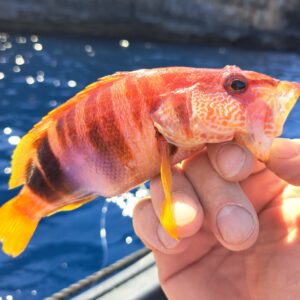 20230617_161801 - Kopie