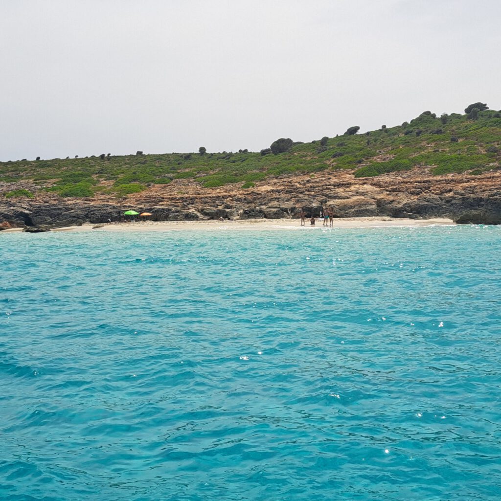 20250714_153646 - Kopie